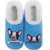 Blue Frenchie