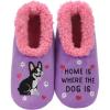 Home is Where the Dog is