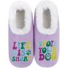 Spoil Your Dog