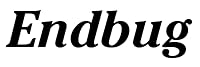 Endbug