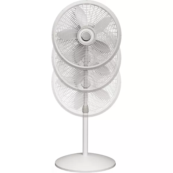 Lasko Oscillating Pedestal Fan, Adjustable Height, 3 Speeds, for Bedroom, Living Room, Home Office and College Dorm Room, 18", Black, 1827