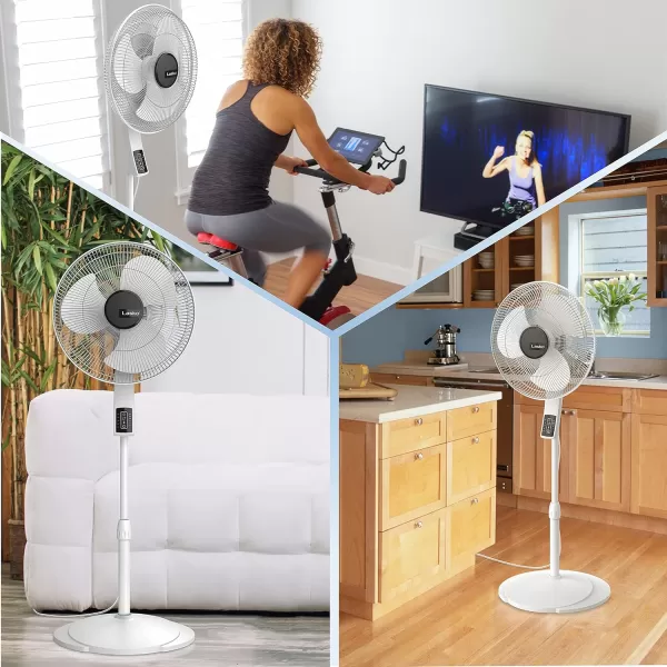 Lasko Oscillating Pedestal Fan, Thermostat, Adjustable Height, Remote Control, Timer, 4 Speeds, for Bedroom, Living Room, Office &amp; Dorm, 16", Black, S16612