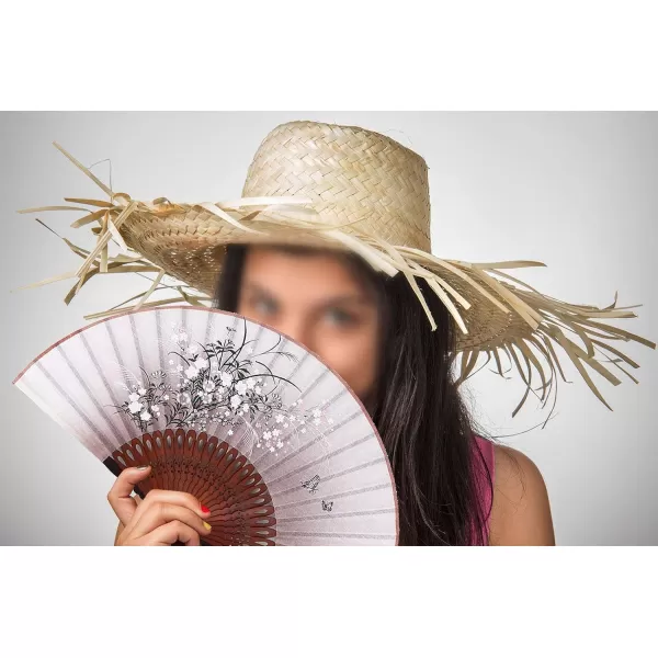Amajiji 827quot Beautiful handcrafted Chinese Japanese hand held folding fan with firstclass bamboo spins and high quality traditonal silk fabrics HBSY 004