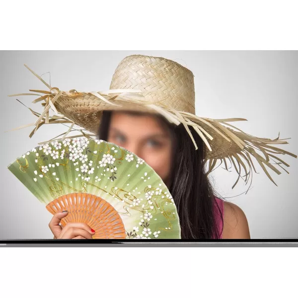 Amajiji 827quot Handcrafted Japanesestyle folding fan NQE 002