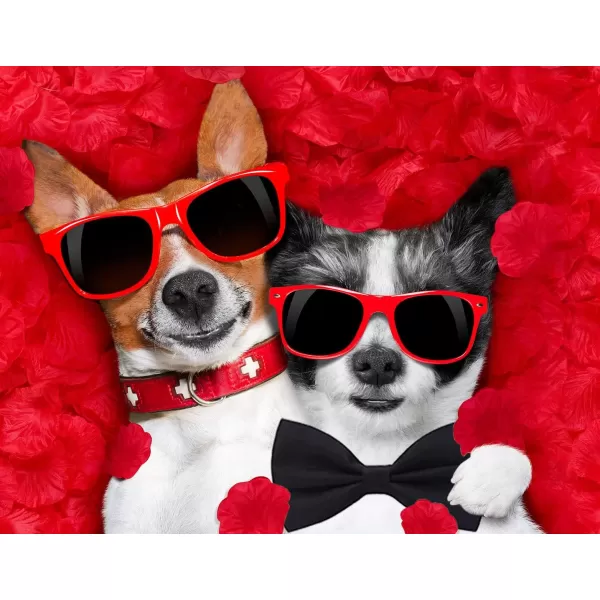 Amajiji Formal Dog Bow Ties for Medium ampamp Large Dogs D114 100 Polyester Dark RedBlack