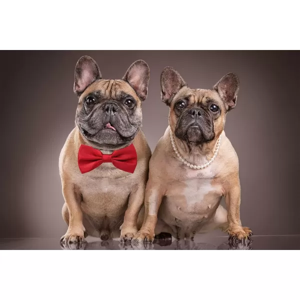 Amajiji Formal Dog Bow Ties for Medium ampamp Large Dogs D114 100 Polyester Dark RedDark Red