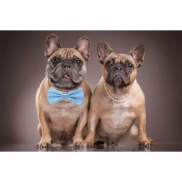 Amajiji Formal Dog Bow Ties for Medium ampamp Large Dogs D114 100 Polyester Dark RedLight Blue