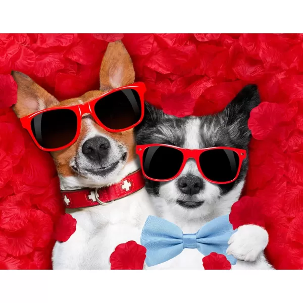 Amajiji Formal Dog Bow Ties for Medium ampamp Large Dogs D114 100 Polyester Dark RedLight Blue