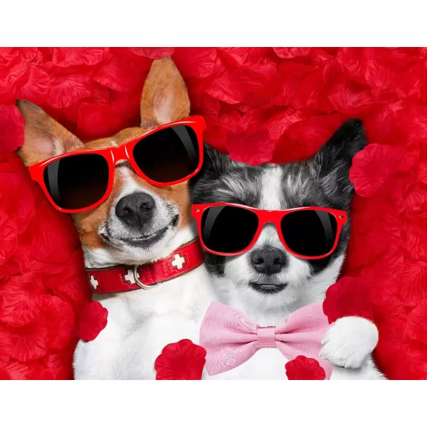 Amajiji Formal Dog Bow Ties for Medium ampamp Large Dogs D114 100 Polyester Dark RedPink