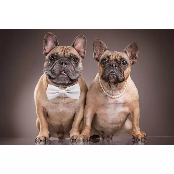 Amajiji Formal Dog Bow Ties for Medium ampamp Large Dogs D114 100 Polyester Dark RedWhite