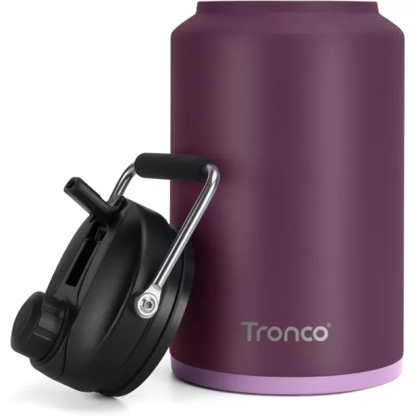 Tronco 1 Gallon Water Bottle 128 oz Large Stainless Steel Triple Wall Vacuum Insulated Water Jug with Straw Lid and Spout Keep Cold 48 Hrs Top Handle Leak Proof Wide Mouth Sweat Proof BPA FreeNordic Purple