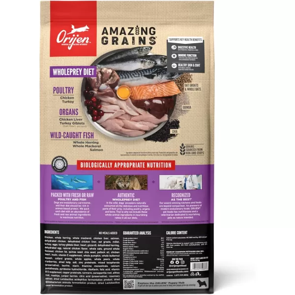 ORIJEN AMAZING GRAINS Puppy Large Dry Dog Food High Protein Dog Food for Large and Giant Puppy Breeds Fresh or Raw Ingredients 225lbPuppy Large