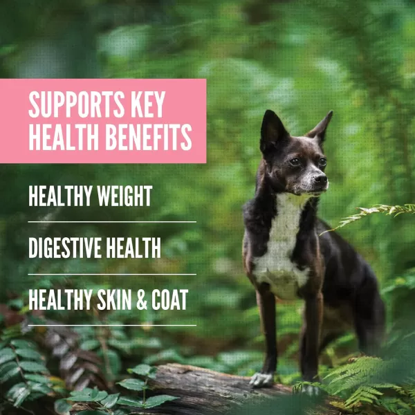 ORIJEN AMAZING GRAINS Puppy Large Dry Dog Food High Protein Dog Food for Large and Giant Puppy Breeds Fresh or Raw Ingredients 225lbSmall Breed