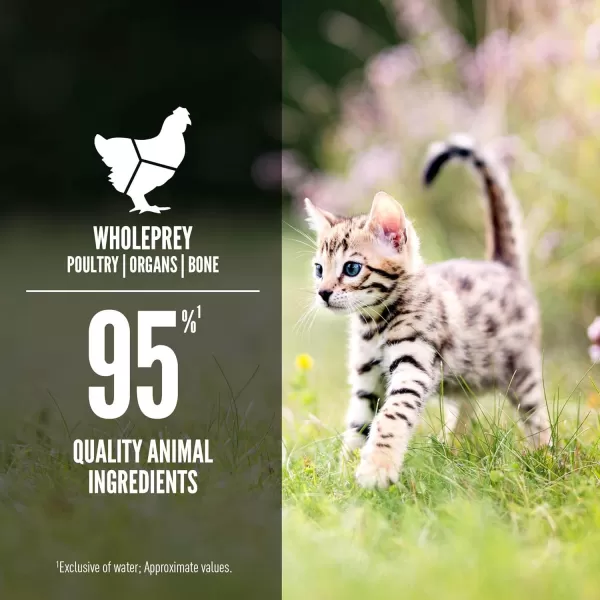 ORIJEN Adult REGIONAL RED Entree in Bone Broth Wet Cat Food Fresh and Raw Animal Ingredients 3 oz Case of 24Kitten  Chicken  Salmon