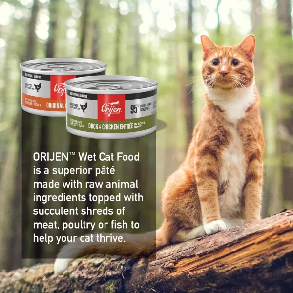 ORIJEN Adult REGIONAL RED Entree in Bone Broth Wet Cat Food Fresh and Raw Animal Ingredients 3 oz Case of 24Variety Pack
