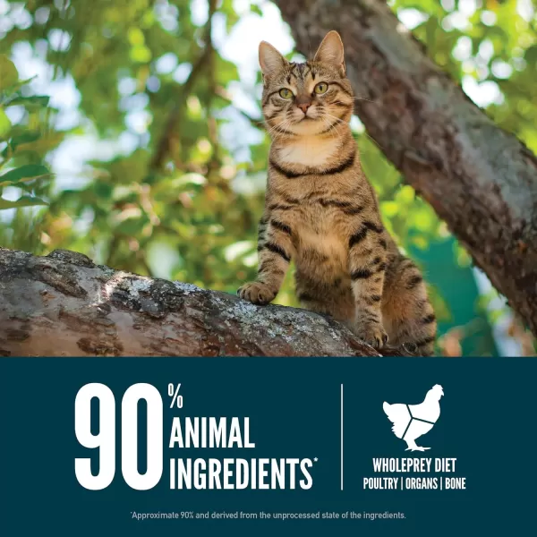 ORIJEN Dry Kitten Food Grain Free Food for Kittens With WholePrey Ingredients 4lbGuardian 8