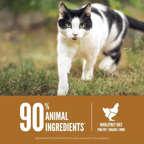 ORIJEN Dry Kitten Food Grain Free Food for Kittens With WholePrey Ingredients 4lbOriginal