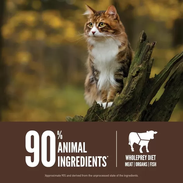 ORIJEN Dry Kitten Food Grain Free Food for Kittens With WholePrey Ingredients 4lbRegional Red