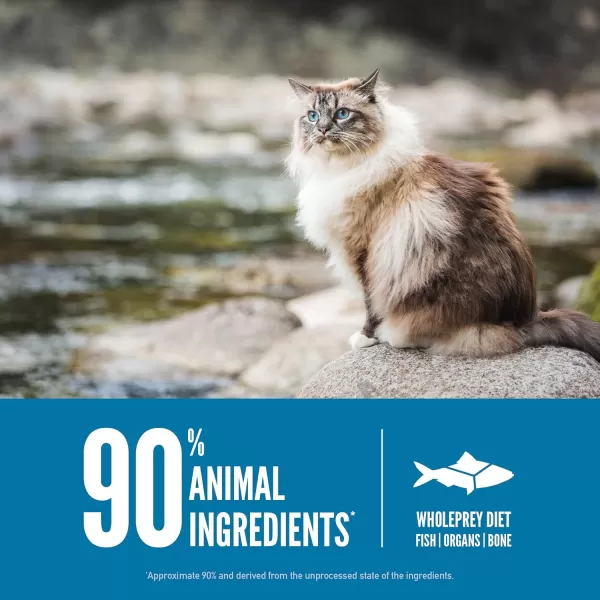 ORIJEN Dry Kitten Food Grain Free Food for Kittens With WholePrey Ingredients 4lbSix Fish