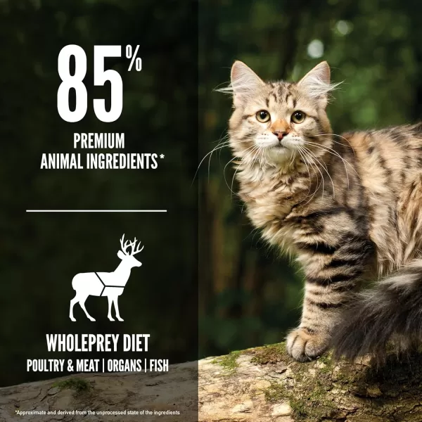 ORIJEN Dry Kitten Food Grain Free Food for Kittens With WholePrey Ingredients 4lbTundra