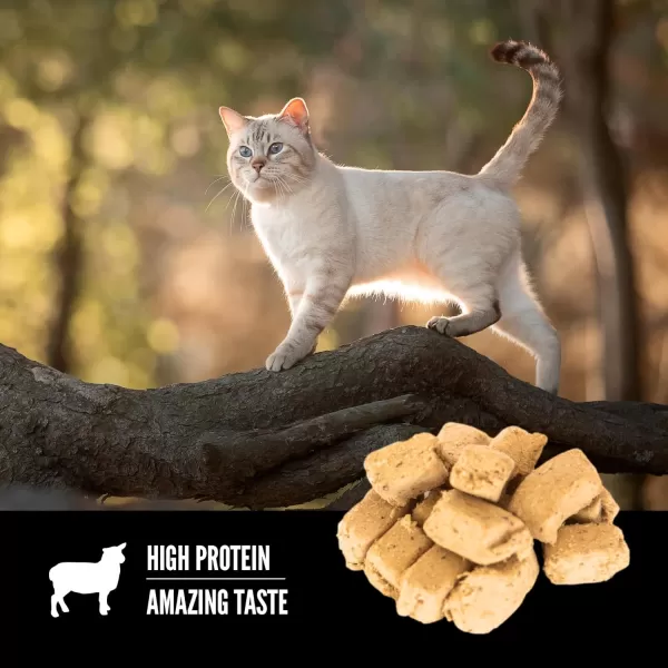 ORIJEN GrassFed Lamb FreezeDried Cat Treats  Biologically Appropriate  125 ozLamb