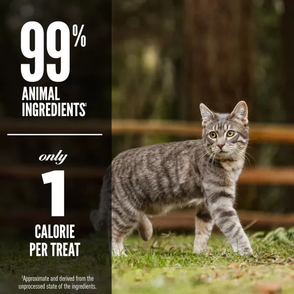 ORIJEN GrassFed Lamb FreezeDried Cat Treats  Biologically Appropriate  125 ozLamb