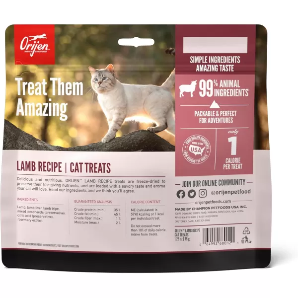 ORIJEN GrassFed Lamb FreezeDried Cat Treats  Biologically Appropriate  125 ozLamb