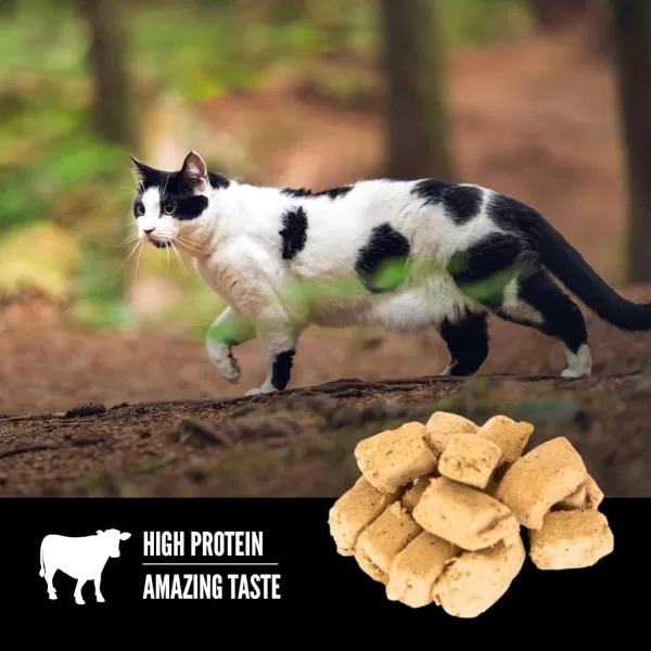 ORIJEN GrassFed Lamb FreezeDried Cat Treats  Biologically Appropriate  125 ozRegional Red