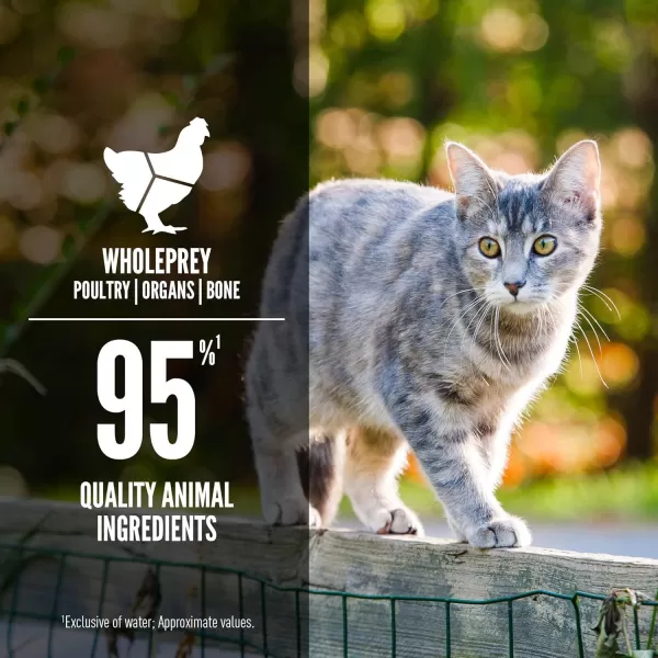 ORIJEN Kitten Chicken and Salmon Entree in Bone Broth Wet Cat Food WholePrey Ingredients 3 oz Case of 24Duck  Chicken