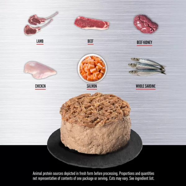 ORIJEN Kitten Chicken and Salmon Entree in Bone Broth Wet Cat Food WholePrey Ingredients 3 oz Case of 24Regional Red