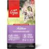 Dry Cat Food