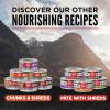 imageORIJEN Chunks ampamp Shreds Wet Cat Food Original Entre 55oz Cans 6 CountSalmon  Chicken