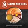 imageORIJEN Chunks ampamp Shreds Wet Cat Food Original Entre 55oz Cans 6 CountSalmon  Chicken