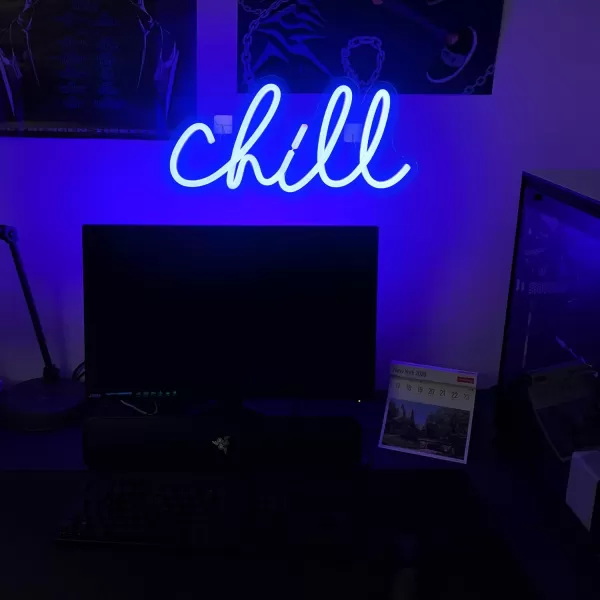 LED Neon Sign for Wall Decor USB Powered LED Neon Light Signs Light up Sign for Bedroom Neon Wall Signs for Kids Birthday PartyModern