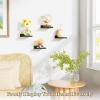 imageSRIWATANA 5 Inches Small Floating Shelves Mini Display Shelf for Wall Decor and Storage Set of 4 Wooden Wall Shelves for Bedroom Bathroom Kitchen Living Room Office Weathered BlackBlack