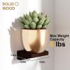 imageSRIWATANA 5 Inches Small Floating Shelves Mini Display Shelf for Wall Decor and Storage Set of 4 Wooden Wall Shelves for Bedroom Bathroom Kitchen Living Room Office Weathered BlackWalnut
