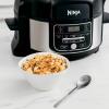 imageNinja Foodi Programmable 10in1 5Quart Pressure Cooker and Air Fryer  FD101 Stainless Steel RenewedStainless Steel