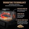 imageNinja OG751 Woodfire Pro Outdoor Grill with BuiltIn Thermometer 7in1 Master Grill BBQ SmokerampampOutdoor Air Fryer plus BakeRoast DehydrateampampBroilWoodfire Technologywith All Purpose Blend PelletsCover  2lb Pellets  Stand