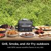 imageNinja OG751 Woodfire Pro Outdoor Grill with BuiltIn Thermometer 7in1 Master Grill BBQ SmokerampampOutdoor Air Fryer plus BakeRoast DehydrateampampBroilWoodfire Technologywith All Purpose Blend Pellets2lb AllPurpose  Sample Pellets