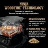 imageNinja Woodfire Outdoor Pizza Oven 5in1 Portable Electric Roaster Oven Heats up to 700F 5 Artisan Pizza Settings Integrated BBQ Smoker Box Includes Flavored Wood Pellets Terracotta Red