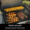 image:imageNinja FlexFlame Grill and Smoker  Electric and Propane Grill Roaster BBQ Grill  5in1 Cooking System  3 Burner  Digital Control  Outdoor Cooking Griddle Pizza Maker  Blue  PG301BLStainless Steel