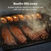 image:imageNinja FlexFlame Grill and Smoker  Electric and Propane Grill Roaster BBQ Grill  5in1 Cooking System  3 Burner  Digital Control  Outdoor Cooking Griddle Pizza Maker  Blue  PG301BLBlue