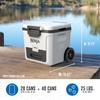 image:imageNinja FrostVault 42qt Wheeled Cooler with Cold Dry Zone  Integrated FridgeTemp Dry Storage Drawer  Premium HeavyDuty Insulated Cooler  Keeps Ice Cold for Days  Lakeshore Blue  FB242BLStrawberry Rhubarb