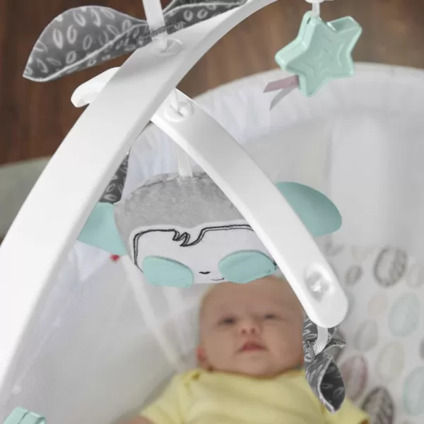 FisherPrice Baby Bedside Sleeper Soothing Motions Bassinet with Lights Music Vibrations ampamp Toy Mobile for Newborns 0 Months WindmillSnugamonkey