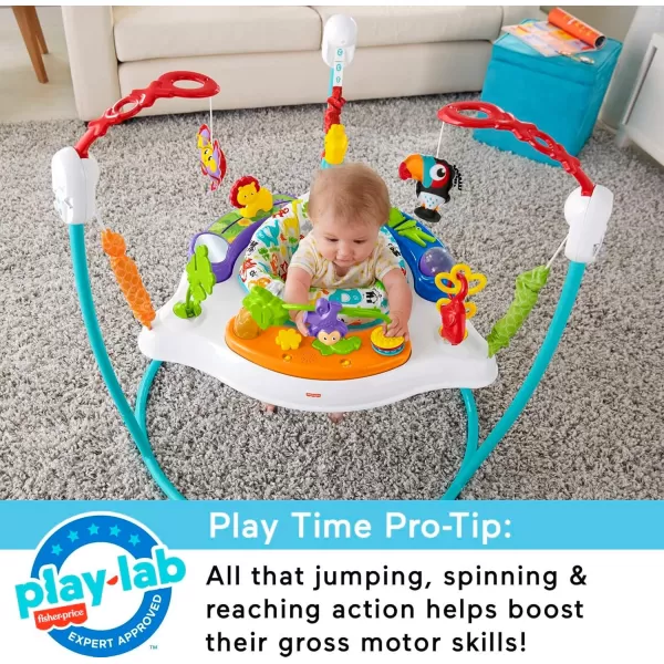 FisherPrice Baby Bouncer Animal Activity Jumperoo Musical Play Center with Lights Sounds ampamp Developmental ToysAnimal ActivityBlue