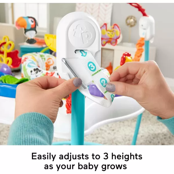 FisherPrice Baby Bouncer Animal Activity Jumperoo Musical Play Center with Lights Sounds ampamp Developmental ToysAnimal ActivityBlue