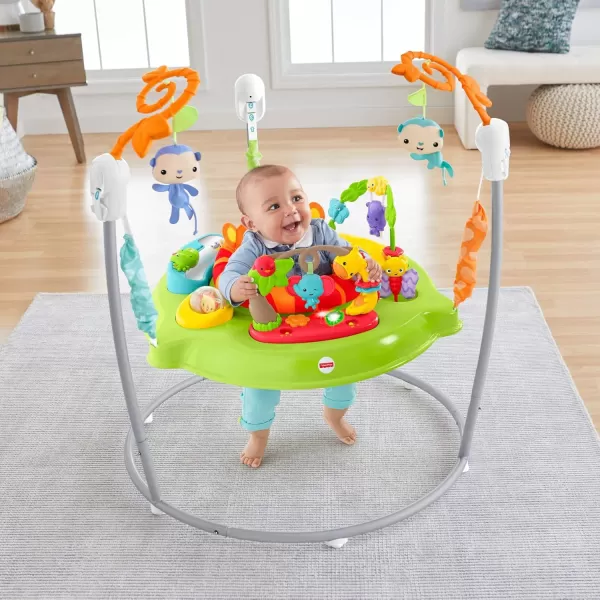 FisherPrice Baby Bouncer Animal Activity Jumperoo Musical Play Center with Lights Sounds ampamp Developmental ToysBright ColorsTiger Time