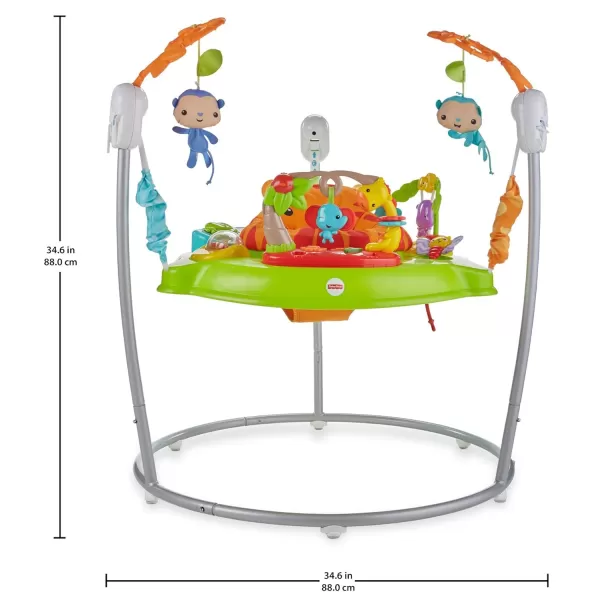 FisherPrice Baby Bouncer Animal Activity Jumperoo Musical Play Center with Lights Sounds ampamp Developmental ToysBright ColorsTiger Time