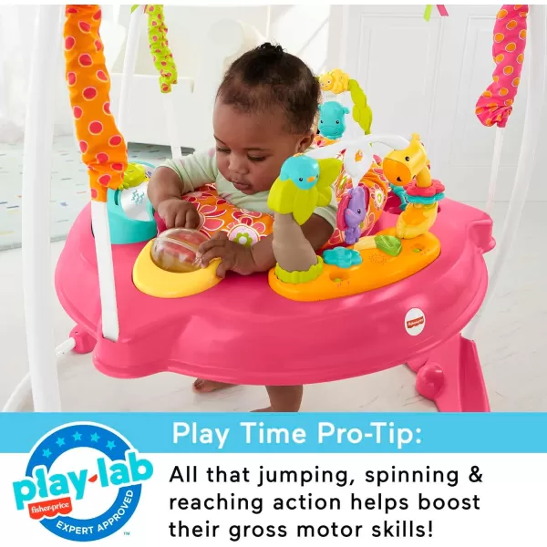 FisherPrice Baby Bouncer Pink Petals Jumperoo Musical Activity Center with Lights Sounds ampamp Developmental ToysPink Flowers Jumperoo