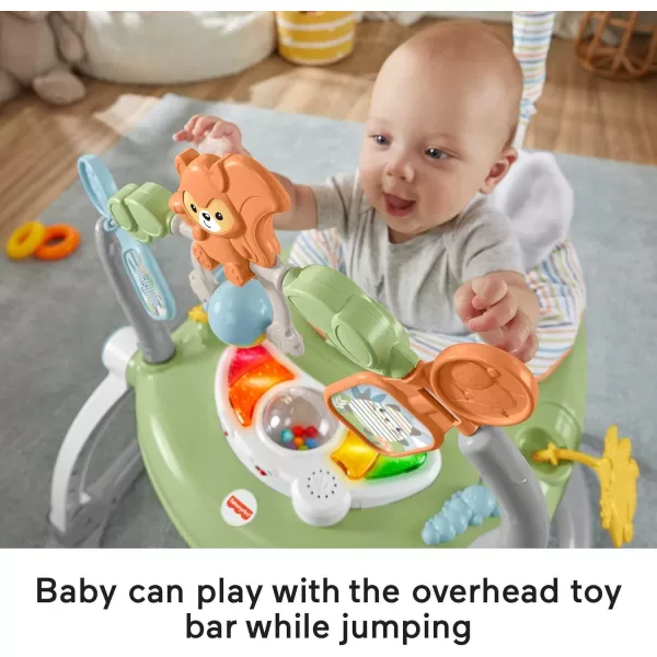 FisherPrice Baby Bouncer SpaceSaver Jumperoo Activity Center with Lights Sounds and Folding Frame Sweet SnugapuppySnugapuppy